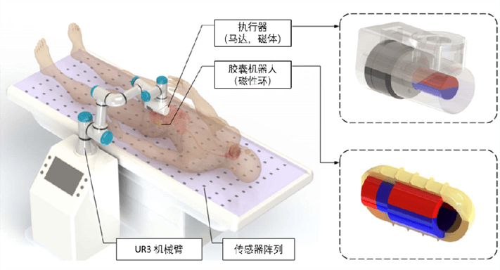 面向结肠检查的磁控主动胶囊机器人系统